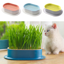 Load image into Gallery viewer, Pet Cat Grass Potted Hydroponic Plant Seedling Tray Growing Pot Reusable Garden Catnip Digestion Cleaning Stomach Grass Grow Box
