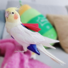 Load image into Gallery viewer, Super Hero Parrot Diaper Flight Suit Diaper Clothes Parrot Parakeet Pigeon Medium Large Pet Bird

