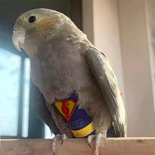 Load image into Gallery viewer, Super Hero Parrot Diaper Flight Suit Diaper Clothes Parrot Parakeet Pigeon Medium Large Pet Bird
