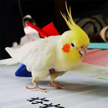 Load image into Gallery viewer, Super Hero Parrot Diaper Flight Suit Diaper Clothes Parrot Parakeet Pigeon Medium Large Pet Bird
