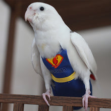 Load image into Gallery viewer, Super Hero Parrot Diaper Flight Suit Diaper Clothes Parrot Parakeet Pigeon Medium Large Pet Bird
