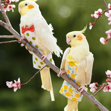 Load image into Gallery viewer, Cute Birds Flight Suit Parrot Diaper Flight Suit Diaper Clothes Parakeet Pigeon Medium Large Pet Bird
