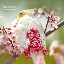 Load image into Gallery viewer, Cute Birds Flight Suit Parrot Diaper Flight Suit Diaper Clothes Parakeet Pigeon Medium Large Pet Bird
