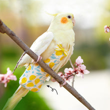 Load image into Gallery viewer, Cute Birds Flight Suit Parrot Diaper Flight Suit Diaper Clothes Parakeet Pigeon Medium Large Pet Bird
