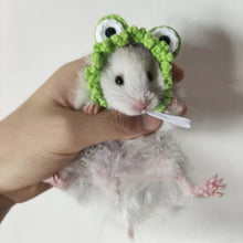 Load image into Gallery viewer, Pet Hamster Budgerigar Cockatiel Peony Parrot Bird Hat Wool Crochet Knitted Parrot Hat Small Animals Mini Hat Birds Toys
