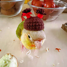 Load image into Gallery viewer, Pet Hamster Budgerigar Cockatiel Peony Parrot Bird Hat Wool Crochet Knitted Parrot Hat Small Animals Mini Hat Birds Toys
