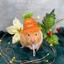 Load image into Gallery viewer, Pet Hamster Budgerigar Cockatiel Peony Parrot Bird Hat Wool Crochet Knitted Parrot Hat Small Animals Mini Hat Birds Toys
