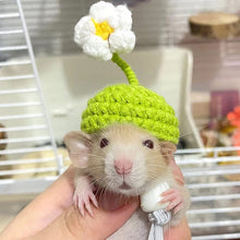 Load image into Gallery viewer, Pet Hamster Budgerigar Cockatiel Peony Parrot Bird Hat Wool Crochet Knitted Parrot Hat Small Animals Mini Hat Birds Toys
