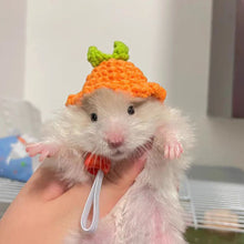 Load image into Gallery viewer, Pet Hamster Budgerigar Cockatiel Peony Parrot Bird Hat Wool Crochet Knitted Parrot Hat Small Animals Mini Hat Birds Toys
