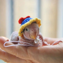 Load image into Gallery viewer, Pet Hamster Budgerigar Cockatiel Peony Parrot Bird Hat Wool Crochet Knitted Parrot Hat Small Animals Mini Hat Birds Toys
