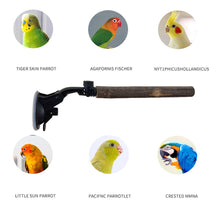 Load image into Gallery viewer, Natural Wood Pet Parrot Raw Wood Fork Branch Perches Stand Rack Stick For Birds Squirrel Small Cockatiels Lovebird Parakeets Bird Supplies
