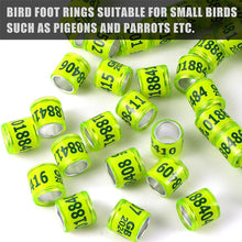 Load image into Gallery viewer, 10/50Pcs 2024 Years Pigeons Foot Ring 8x11mm Pigeons Foot Ring Parrots Leg Rings Birds Training Tool with Nnumbers
