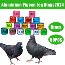 Load image into Gallery viewer, 10/50Pcs 2024 Years Pigeons Foot Ring 8x11mm Pigeons Foot Ring Parrots Leg Rings Birds Training Tool with Nnumbers
