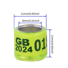 Load image into Gallery viewer, 10/50Pcs 2024 Years Pigeons Foot Ring 8x11mm Pigeons Foot Ring Parrots Leg Rings Birds Training Tool with Nnumbers
