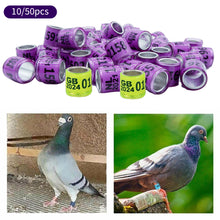 Load image into Gallery viewer, 10/50Pcs 2024 Years Pigeons Foot Ring 8x11mm Pigeons Foot Ring Parrots Leg Rings Birds Training Tool with Nnumbers
