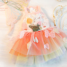Load image into Gallery viewer, Cat Dog Princess Dress Clothes Rabbit Bunny Kitten Butterfly Costume Schnauzer Chihuahua Puppy Summer Sweet Mesh Dress
