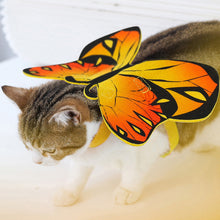 Load image into Gallery viewer, Cat Dog Colorful Butterfly Cosplay Costume Wings Halloween Pet Cloth Wing Costume Soft Comfortable Festival Clothes for Cat

