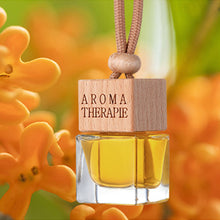 Load image into Gallery viewer, Car Perfume Hanging Bottles Aromatherapy Refillable Air Freshener Diffuser Vehicle Oil Fragrance Bottle Auto Sapper Pendant
