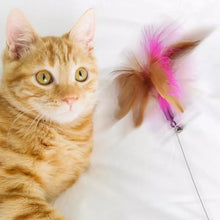 Load image into Gallery viewer, 1Pc Cats Toys Feathers Wand Interactive Toy Kitten Toys with Bell Pets Collar Playing Teaser Wand Training Toys for Cats Supplies
