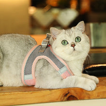 Load image into Gallery viewer, Adjustable Puppy Cat Harness Vest Reflective Breathable Adjustable Pet Harness for Small Medium Dogs Outdoor Walking
