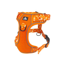 Load image into Gallery viewer, Pet Harness Reflective Dog Harness Vest Adjustable Safety Lead Straps for Medium Large Dogs French Bulldog Walking Harnesses
