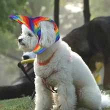 Load image into Gallery viewer, 1Pc Pet Baseball Hat Dog Accessories Pet Beret Hat Teddy Duck Tongue Hat for Large Medium Small Dogs Summer Solid Color
