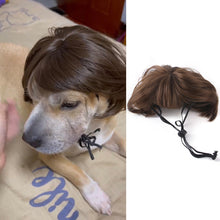 Load image into Gallery viewer, 1Pc Pet Wigs Cosplay Props Funny Dogs Cats Cross-Dressing Hair Hat Costumes Head Accessories For Halloowen Christmas Pets Supplies
