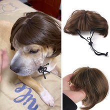 Load image into Gallery viewer, 1Pc Pet Wigs Cosplay Props Funny Dogs Cats Cross-Dressing Hair Hat Costumes Head Accessories For Halloowen Christmas Pets Supplies
