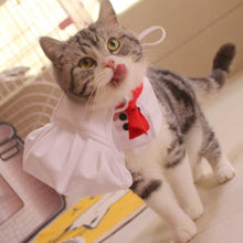 Load image into Gallery viewer, Pet Cooking King Hat Chef Clothes Hats Set Cat Dog Transformation Dress Cute Photo Decoration Hat Dog Costume Dog Hat Pet Accessories
