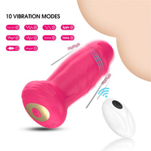 Load image into Gallery viewer, Charging Remote Control APP Scratch Free Twisting Vibration Remote Control Silicone Anal Plug Sexy Female and Male Sex Toys
