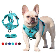 Load image into Gallery viewer, Pet Dog Harness Soft Breathable Leash Set for Small Medium Dogs Chihuahua Puppy Collar Cat Pet Dog Chest Strap Leash
