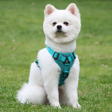 Load image into Gallery viewer, Pet Dog Harness Soft Breathable Leash Set for Small Medium Dogs Chihuahua Puppy Collar Cat Pet Dog Chest Strap Leash
