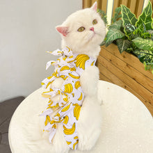 Load image into Gallery viewer, Pet Cat Weaning Clothes Sterilization Jumpsuit Anti-licking Surgery Recovery Care Suit for Cat Puppy Kitten
