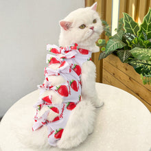 Load image into Gallery viewer, Pet Cat Weaning Clothes Sterilization Jumpsuit Anti-licking Surgery Recovery Care Suit for Cat Puppy Kitten
