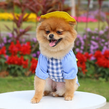 Load image into Gallery viewer, Pet Dog Kindergarten Clothes Puppy Cute Yellow Duck Plaid T-shirt with Hat Teddy Bichon Pomeranian Small Dog Cat Clothing Coat
