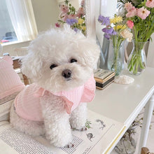 Load image into Gallery viewer, Cute Bow Dog Vest Teddy Puppy Pullover Summer Pet Clothes Breathable Two-legged Clothes Solid Color Cat Dog Clothes Pet Products
