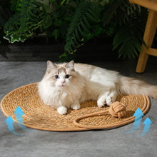 Load image into Gallery viewer, Dog Air Conditioning Mat Summer Rattan Pet Mat Pet Supplies Cooling Mat Cat Cooling Pad for Small Medium Cat
