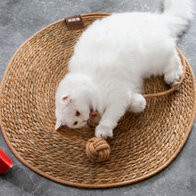 Load image into Gallery viewer, Dog Air Conditioning Mat Summer Rattan Pet Mat Pet Supplies Cooling Mat Cat Cooling Pad for Small Medium Cat
