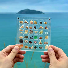 Load image into Gallery viewer, Seashell Display Box Acrylic Magnetic Diamond Display Case Acrylic Organizer Box Stackable Jewelry Gem Organizers Compartment
