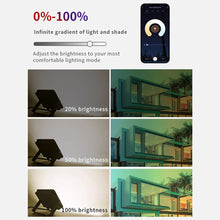 Load image into Gallery viewer, Tuya APP Control RGB Floodlight Smart RGBCW CCT 2700-6500K 30W 110V/220V AC For Garden Party Outdoor Lighting
