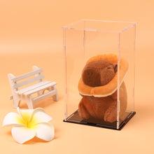 Load image into Gallery viewer, 1Pc Transparent Acrylic Display Case Storage Box 11.4x9.7x18cm for Labubu Plush Dolls/Toys Organizer Protective Container
