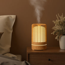 Load image into Gallery viewer, Ultrasonic Bird Cage Humidifier USB Spray Cool Mist Humidifier With Colorful Light Cartoon Colorful Light Home Aroma Diffuser
