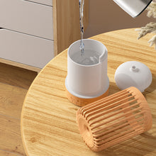 Load image into Gallery viewer, Ultrasonic Bird Cage Humidifier USB Spray Cool Mist Humidifier With Colorful Light Cartoon Colorful Light Home Aroma Diffuser

