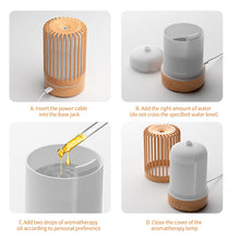 Load image into Gallery viewer, Ultrasonic Bird Cage Humidifier USB Spray Cool Mist Humidifier With Colorful Light Cartoon Colorful Light Home Aroma Diffuser

