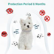 Load image into Gallery viewer, Retractable Pet Dog Antiparasitic Collar Dog Anti Flea Tick Collar For Small Large Dog Cat Lice Collars Deworming Collars Supplies
