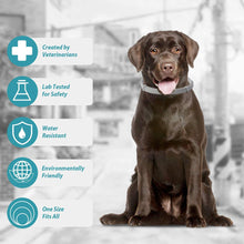 Load image into Gallery viewer, Retractable Pet Dog Antiparasitic Collar Dog Anti Flea Tick Collar For Small Large Dog Cat Lice Collars Deworming Collars Supplies

