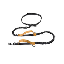 Load image into Gallery viewer, Retractable Hands Free Dog Leash For Running Double Handles Elastic Cord Reflective Large Dog Leash Pet Supplies
