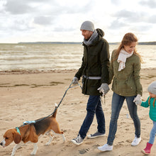Load image into Gallery viewer, Retractable Hands Free Dog Leash For Running Double Handles Elastic Cord Reflective Large Dog Leash Pet Supplies
