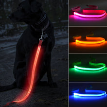 Load image into Gallery viewer, LED Dog Leash Luminous Rope Lead Leash For Dog Safety Flashing Glowing Dog Collar Harness Electronic Pet Accessories
