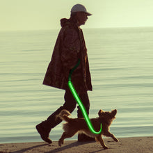 Load image into Gallery viewer, LED Dog Leash Luminous Rope Lead Leash For Dog Safety Flashing Glowing Dog Collar Harness Electronic Pet Accessories
